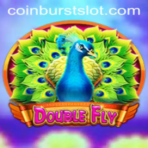 DoubleFly and the Exciting World of CoinBurst